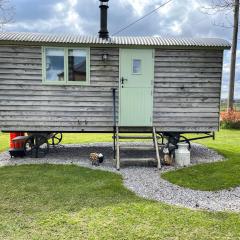 Birchwood House Farm Shepherds Hut