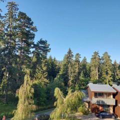 Residence E205 Euphoria Borovets