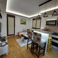 Apratman & Spa Jelena