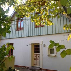 Strandperle Buchenhof 5 D