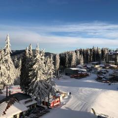 Студио, хотел Стената