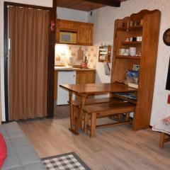 Studio sud 4 pers, animaux admis, terrasse ensoleillée - FR-1-464-50