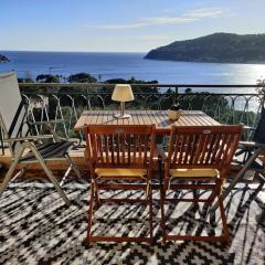 Vintage flat on Villefranche bay - free car park