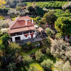 Villa Eirini with sea view