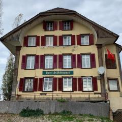 Hotel Schönbrunnen