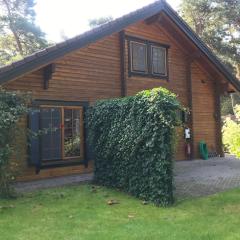 Houten chalet/bungalow in het bos, sauna, jacuzzi