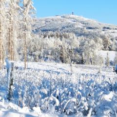 Harzpension Haus Königskopf