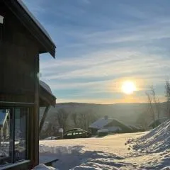 Geilo - Ny og flott hytte på budalstølen