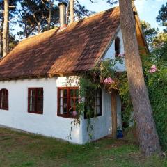Cabaña del bosque 5 personas equipada totalmente