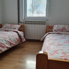 Stan na dan, IVANA, ljupki apartman sa parkingom