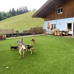 Urlaub mit Hund im Salzburger Land