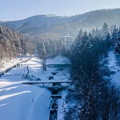 Kurort Kozubnik Daglezja - Apartamenty Dream Apart