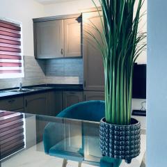 Zenith Apartment A20
