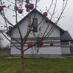 Срібний дощ