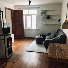 Cozy apartment near the city center