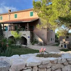 Holiday Apartment