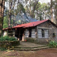 Hermosa cabaña en el bosque