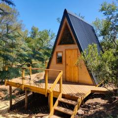 Gaia A-frame cabin