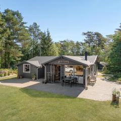 Stunning Home In Blåvand With Wifi