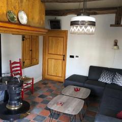 Farmhouse in Staphorst with sauna