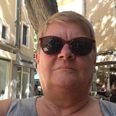Les volets bleus