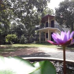 Blue Point Rest