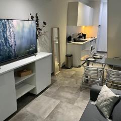 Magnifique duplex central à 2 min de la gare.