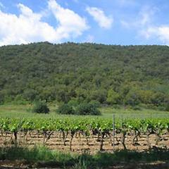 Gite au domaine de siouvette
