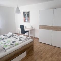 Zentrale 2-Zimmer Wohnung in Altstadt & Bahnhofsnähe ( überdachte Gartenterasse )