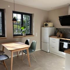 Neubau im Loft-Stil mit großer Terrasse