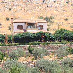 Rosa Farm, Jerash Most Beautiful Villa