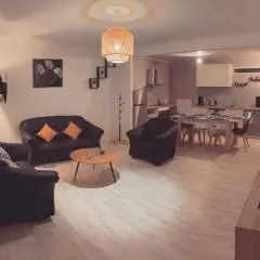 Nancy appartement en triplex plein centre