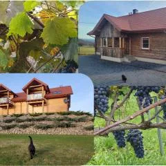 Fantastic View Vineyard Beskid Mountains