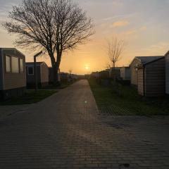 Oostkapelle Chalet JD 56 In de Bongerd