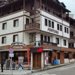 Two-Bedroom Apartment in Fortuna