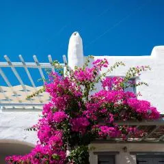 Spiti Georgia in Drios village