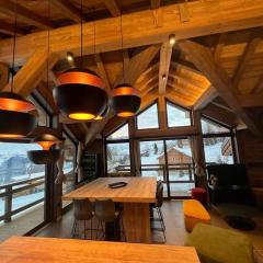 Magnifique chalet sur les pistes, le Paradis c'est ici !