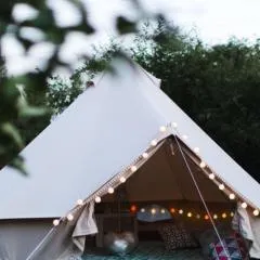 Wildberry glamping