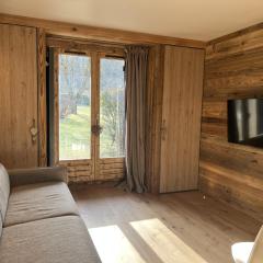 Studio Chalet des Pistes Megève