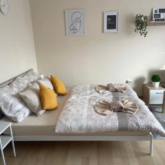 Modern Living Apartment