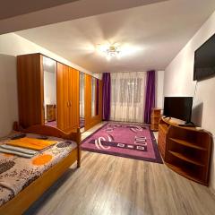 Apartament Băile Herculane