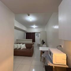 Sweden's Tiny Home, Studio Unit Condo