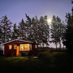 Landhaus mit Pool, Bungalow in der Natur