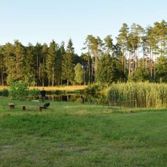 Agroturystyka Leśna Wyspa