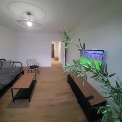 Grand appartement avec parking privé