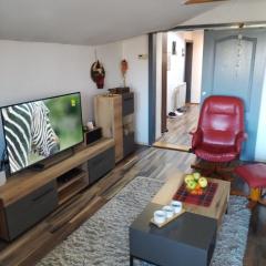 Apartment Viktor
