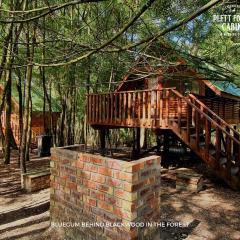 Plett Forest Cabins