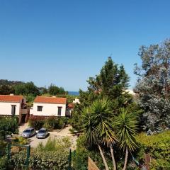 Maison de 2 chambres a Calcatoggio a 200 m de la plage avec jardin clos