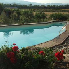 Castiadas Campagna in casa con piscina 2