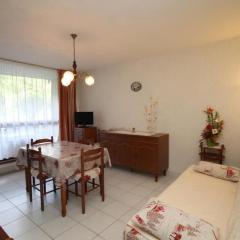 Mont-Dore T2 avec balcon et parking - FR-1-608-117